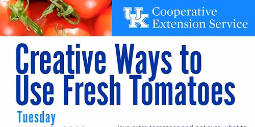 Creative Ways to Use Fresh Tomatoes