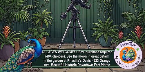 SEE THE STARS & VIEW THE MOON! Giant Telescope in the Garden @ Priscilla's Oasis
