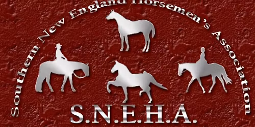SNEHA Horse Show #2