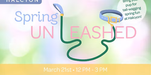 Spring Un-Leashed: Pawsome Family Fun!