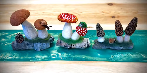 Needle Felted Mushrooms Class for Beginners - $50 - Oct 26th