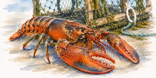 Watercolour Art Class: Nova Scotia Lobster