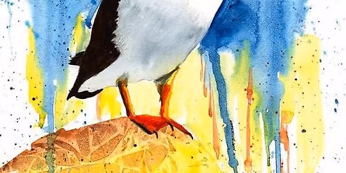 Paint a Puffin - Paint and Sip - Thursday 18th June 2026