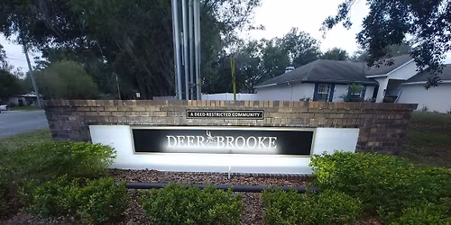 Live Christmas Carolers