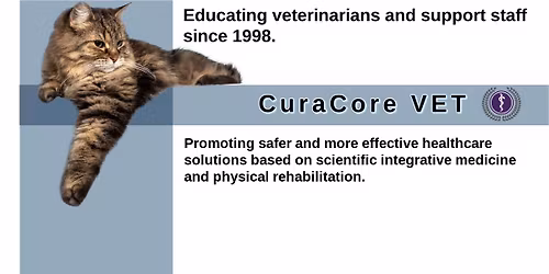 Medical Acupuncture for Veterinarians, Small Animal Track, Clinical Intensive