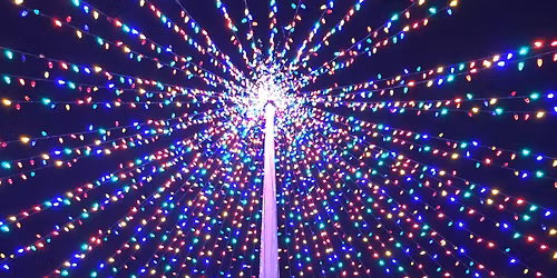 Christmas Tree Lighting