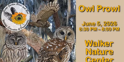 Owl Prowl