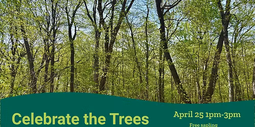 Celebrate the Trees