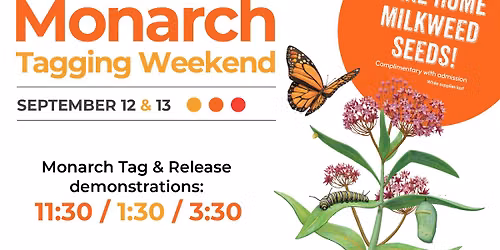 Monarch Tagging Weekend 2026