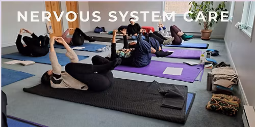 Nervous System Care - In Person