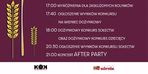 DO\u017bYNKI MIASTA I GMINY K\u00d3RNIK 