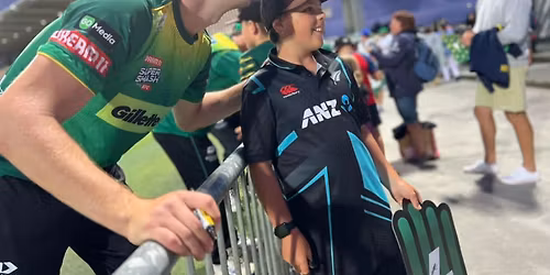 Super Smash T20 - Stags and Hinds in Napier