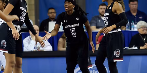 Mississippi State Bulldogs at South Carolina Gamecocks Womens Basketball
