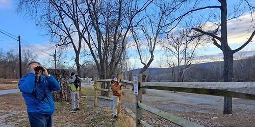 Intro to the Christmas Bird Counts