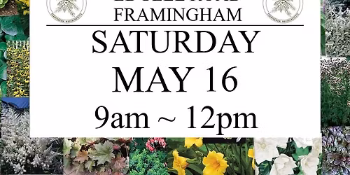 Plant Sale on the Center Common