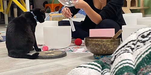 Kitty Sound Bath Sept - 1st session - SOLD OUT 