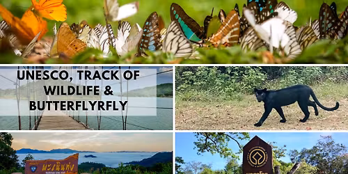 UNESCO, Track of wildlife & Butterfly