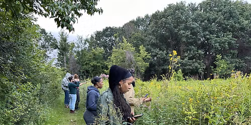 Restore Rouge Park Prairie & Oak Opening: Invasive Bouquet Brigade