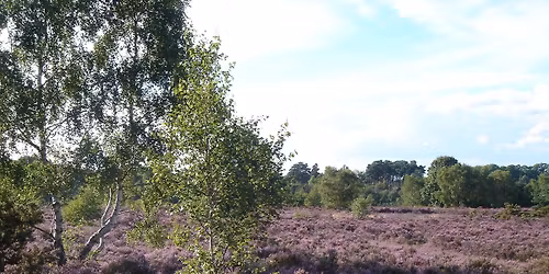 MABAC - Lightwater Country Park - Runnymede Runners 
