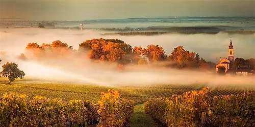 A Night in Bordeaux: French Wine Dinner