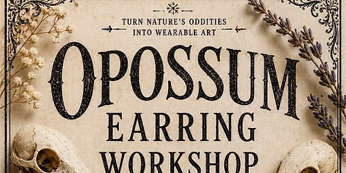 Opossum Teeth Earring Workshop
