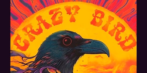 Crazy Bird