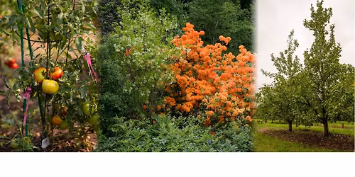 Get Growing! A Horticulture Day - Hosted by the Olmsted County Master Gardeners