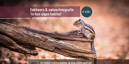 Fotografiedag eekhoorns 'natural habitat'
