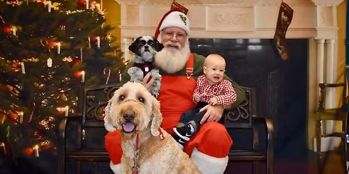 Santa Paws Pictures