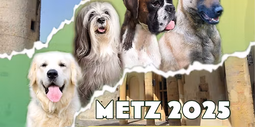 CACIB de Metz