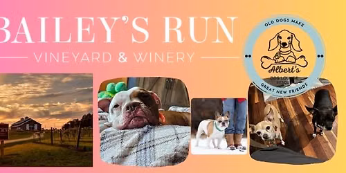 Wine & Wags- Bailey's Run Vineyard & Winery