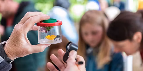 Wildlife Detectives
