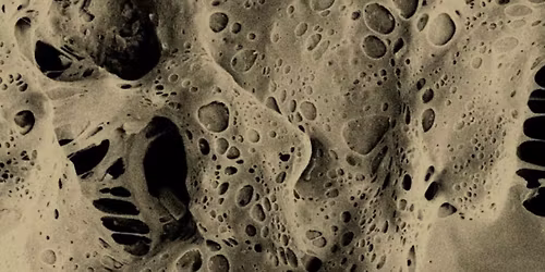 XXIV Konferencja Biomateria\u0142y i Mechanika w Stomatologii