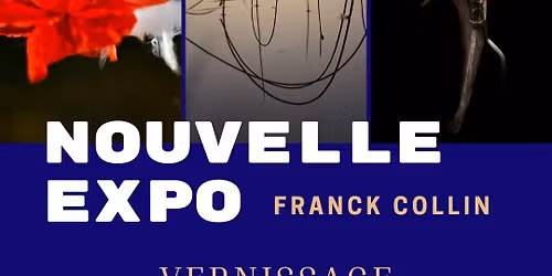 Vernissage Exposition Franck Collin