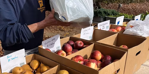 Farmers' Market Pop-Up at Raymond Library