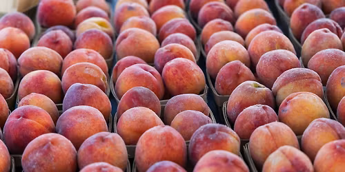 2026 St. Joe Farmers Market