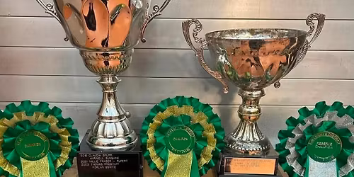 Presentation Evening