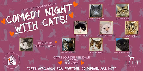 Comedy Night with Cats!