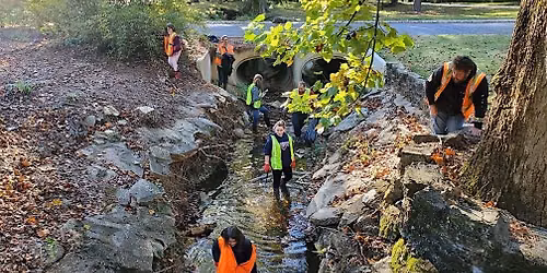 Annual Stream Cleanup 20th anniversary and Union Cemetery Cleanup