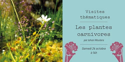 Visite - Les plantes carnivores