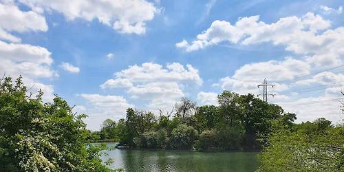 Discover Walthamstow Wetlands Guided Tour
