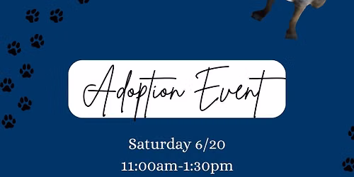 Adoption Event @ Old Navy, Miller Hill Mall