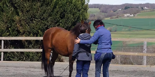 Stage MUSCLER SON CHEVAL A PIED