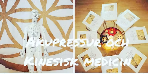 Grunderna i Akupressur och Kinesisk Medicin med Anne Ninnas hos Phoenix Academy i H\u00e4lsans Hus