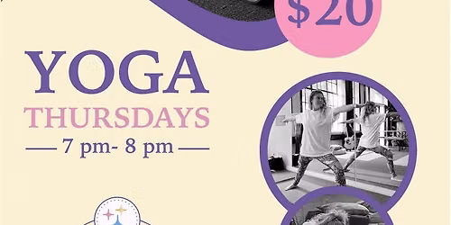 Vinyasa flow yoga class