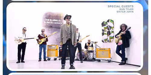 The Bluebells at Christmas in Paisley