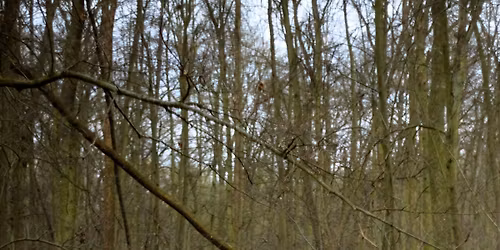 PASTI\u010cKA \/a\/ ZRN\u00cd 