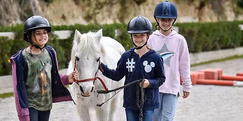 Half Day Fun Day for Non-Horse Owners