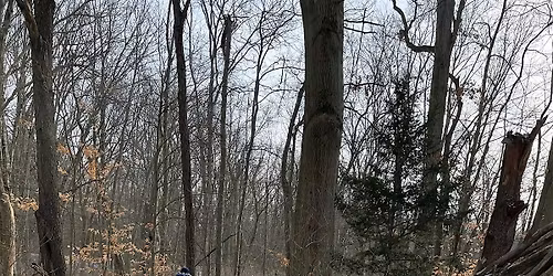 Free Family Nature Day: Hike & Free Play!