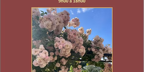 Visite et Vide Jardin!